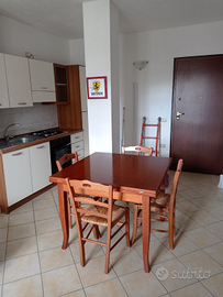 Appartamento arredato