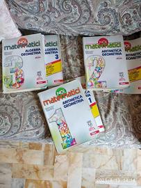 libri matematica scuole medie
