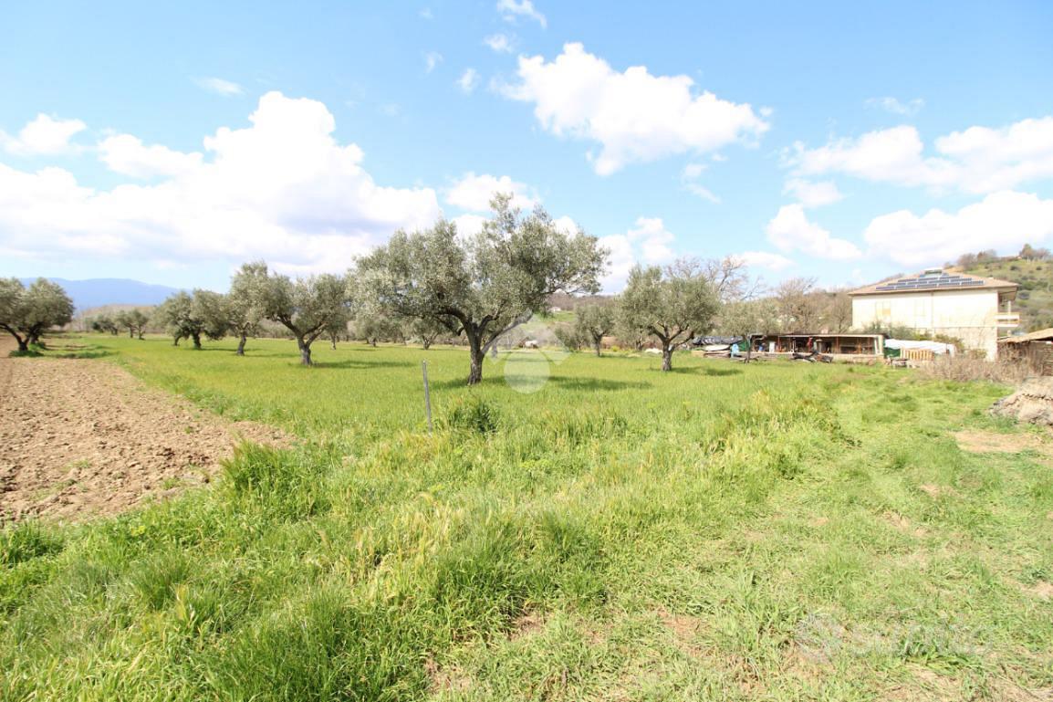 TER. RESIDENZIALE A MONTALTO UFFUGO - Vista 2