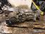 Immagine 3