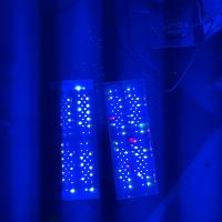 Lampade acquario marino