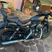 Harley-Davidson Sportster 883 - 2014