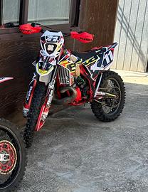 Beta 300 2t 2014