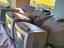 Immagine 2