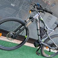 BICI MUSCOLARE...DIVENTA ELETTRICA MOTORE CENTRALE