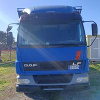 Daf lf