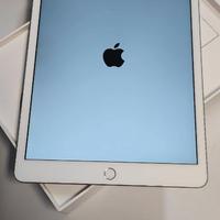 iPad 7