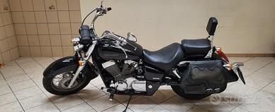 splendida Honda Shadow VT 750 anno 2004