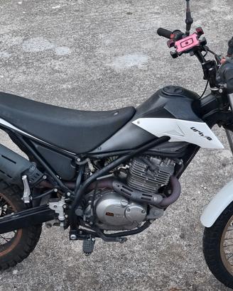 Beta 200 Urban