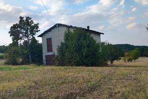 Rustico agricolo/residenziale
