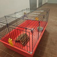 gabbia con trasportino  