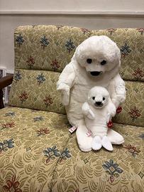 Foca bianca con cucciolo