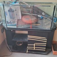 Acquario e pompa per acquario