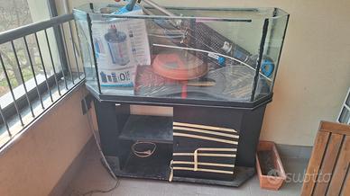 Acquario e pompa per acquario