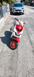 Zip SP 50 Piaggio Modello MK1