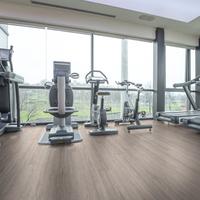 PVC SPC Vinilico Pavimento Palestra LVT click