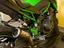 Immagine 4