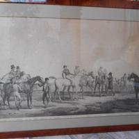 Cavalli - Bella stampa originale '800 incorniciata