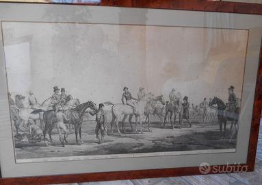 Cavalli - Bella stampa originale '800 incorniciata