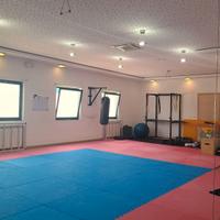 tatami x palestra 