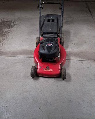 Tagliaerba Briggs & Stratton