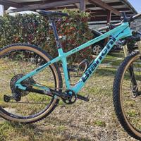 MTB Bianchi Methanol  sx
