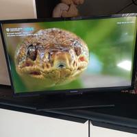 TV Telefunken (28") HD Nero