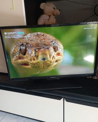 TV Telefunken (28") HD Nero