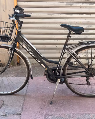 Bici “Regina Trekking 955”