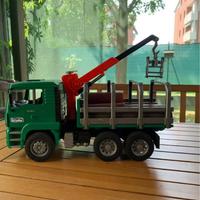 Camion trasporta tronchi