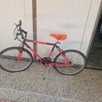 montain bike