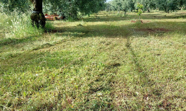 Terreno agricolo adiacente centro abitato