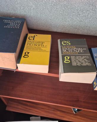 Lotto dizionario le garzantine
