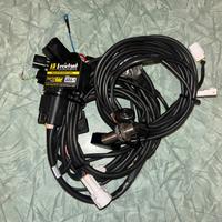 Traction control con più funzioni  Zx10r