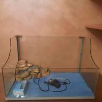 Acquario con filtro funzionante 