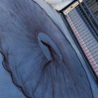 rezzaglio maglia 0,5