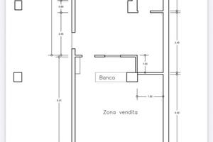 Attività commerciale con canna fumaria