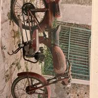 Ducati Cucciolo 65