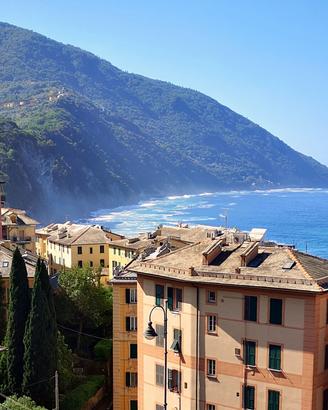 Appartamento Camogli [Cod. rif 3316147VRG]