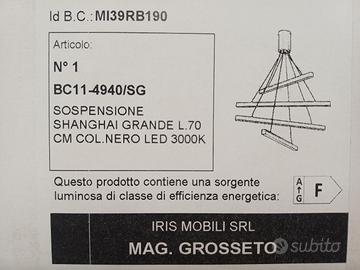 2 LAMPADARI UGUALI