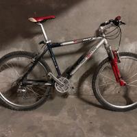 Bici Mtb Sintesi