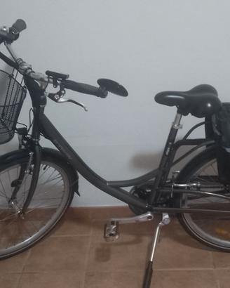 Bicicletta elettrica a pedalata assistita