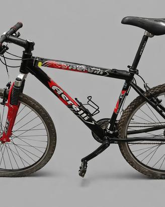 bicicletta mountain bike