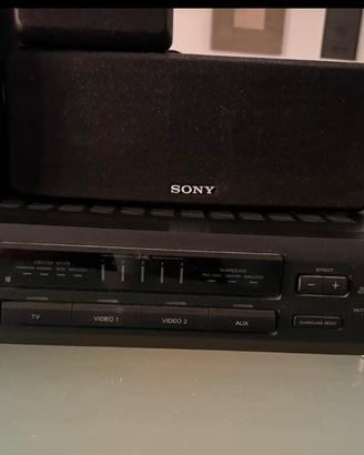 Sony SA-VE100 altoparlante home theather