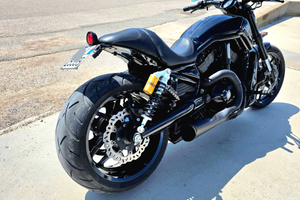 Harley Vrod Special