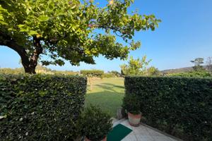 San Teodoro, sul mare - LAST MINUTE