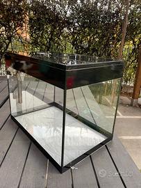 Acquario Askoll pure led L