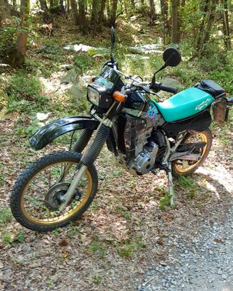 Kawasaki KLR 600
