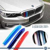COVER Griglia Bmw SERIE 5 G30 G31 Fasce M SPORT