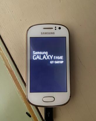 Cellulare Samsung Galaxy Fame GT-S6810P